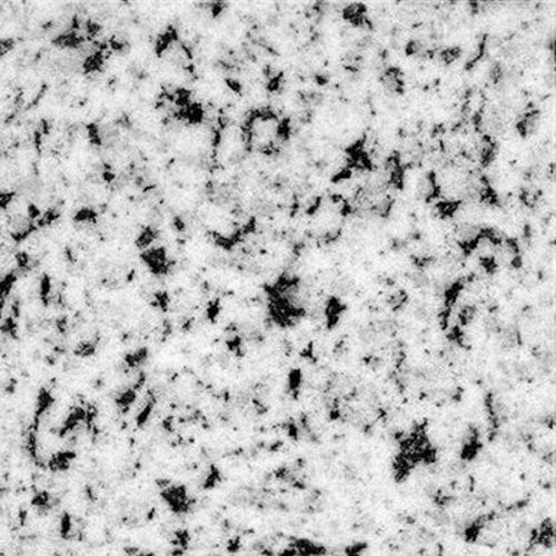 halayeb granite zoom